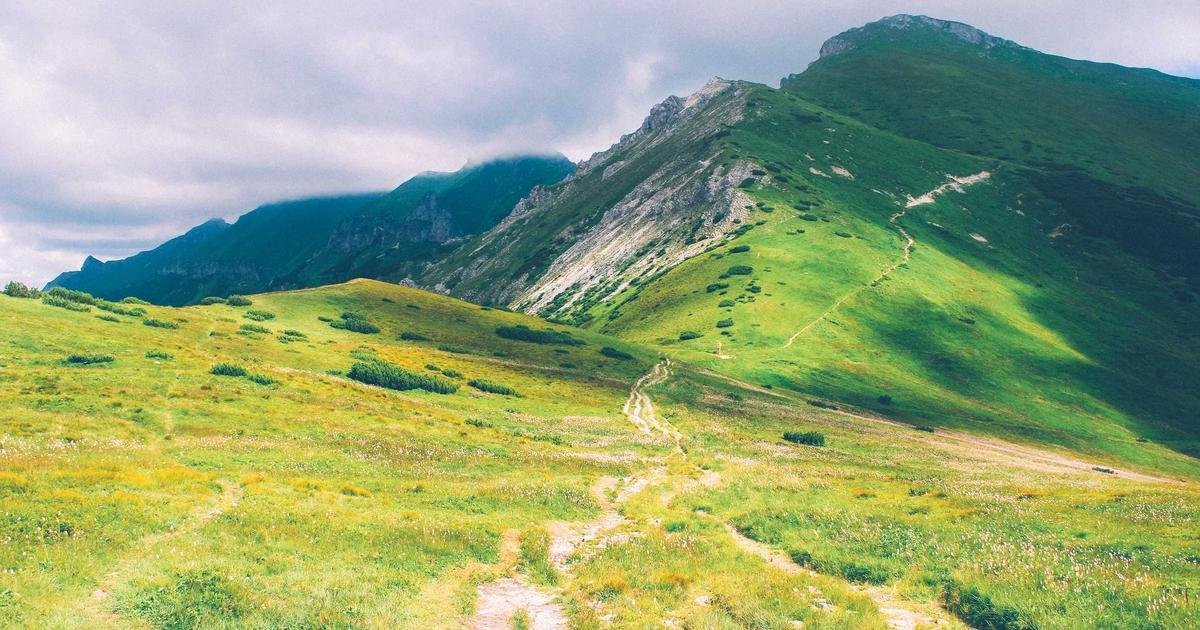 Tranh trang trí phòng ngủ lãng mạn và ấm cúng