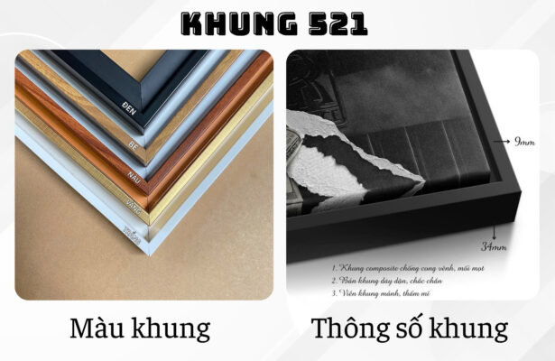 Ảnh thật khung tranh