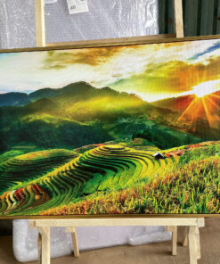 Tranh Canvas Ruộng Bậc Thang Bình Minh Tây Bắc